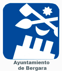 Bergarako Udala